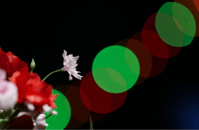 A sample photo with S-R70300