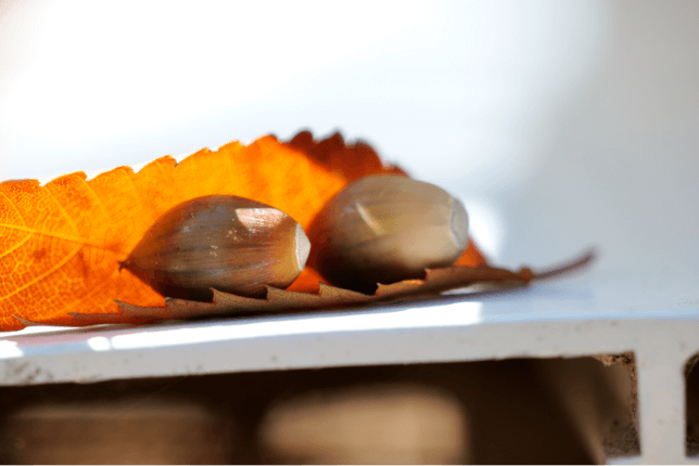 A sample photo with S-R70300