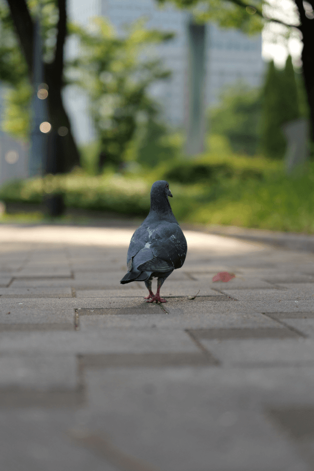 Przykładowe zdjęcie z aparatu S5 II, obiektyw S 24–105 F4 105 mm, 1/1300 sek., F4.0, ISO 800