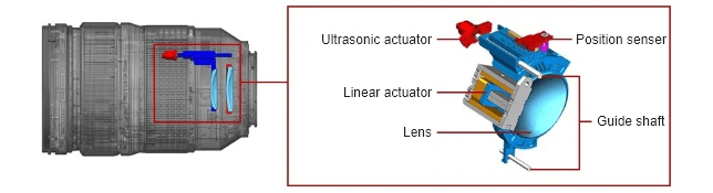 Image of Double Focus