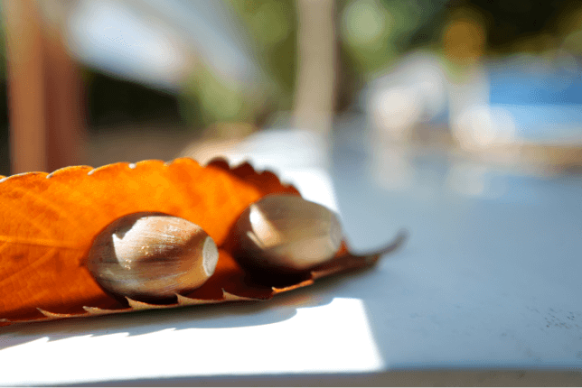 Przykład f=28 0,15 m