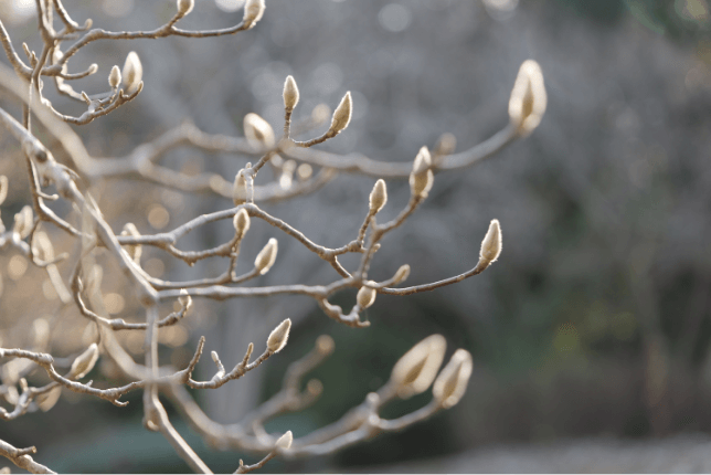 A sample photo with S-R70200