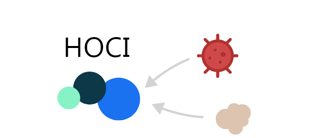 An illustration of protein being broken down through oxidative processes