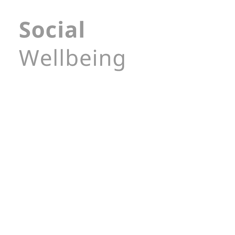 Social Wellbeing