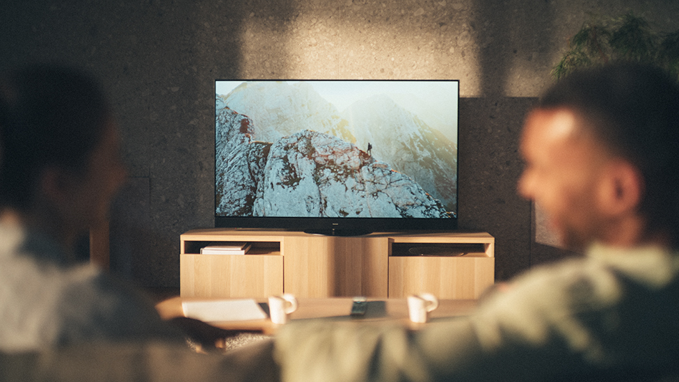 Image of TV in the living room showing spectacular nature
