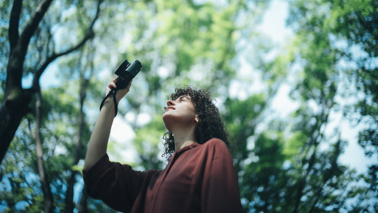 A young person taking photographs in a forest on a bright, clear day.