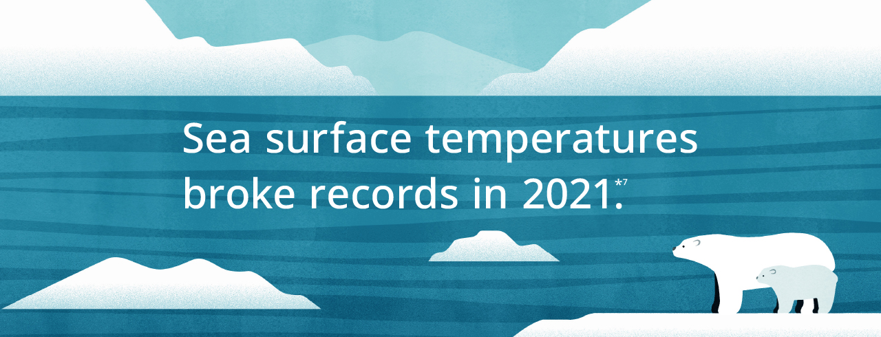 Section Banner: Sea surface temperatures broke records in 2021 (footnote 7). Illustration of two polar bears looking over an open sea with almost no ice.