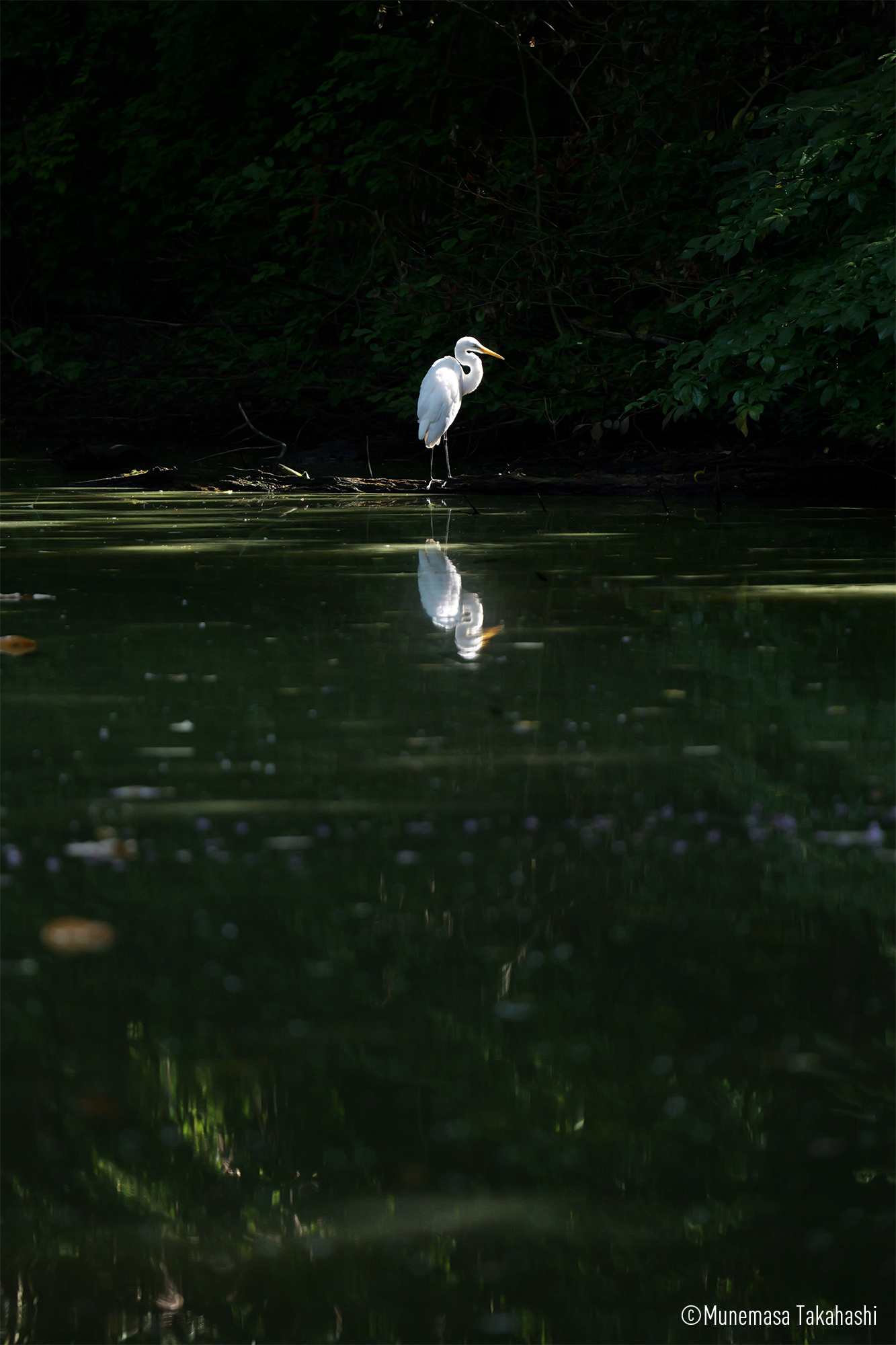 LUMIX S5M2 Gallery 8