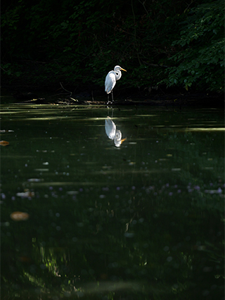 LUMIX S5M2 Gallery 8