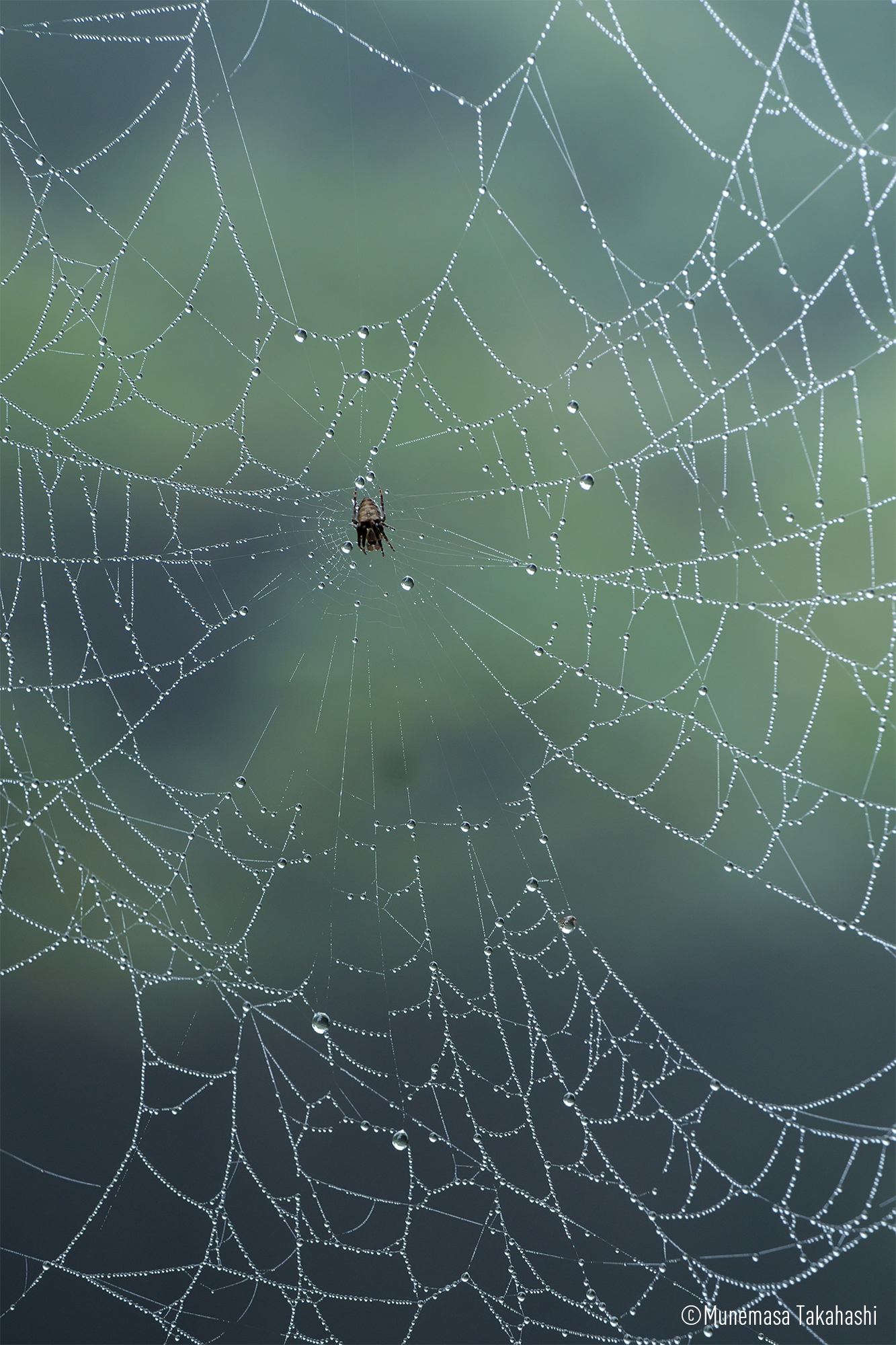 LUMIX S5M2 Gallery 11