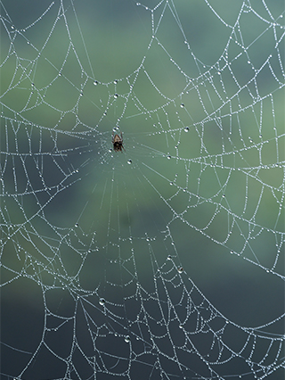 LUMIX S5M2 Gallery 11