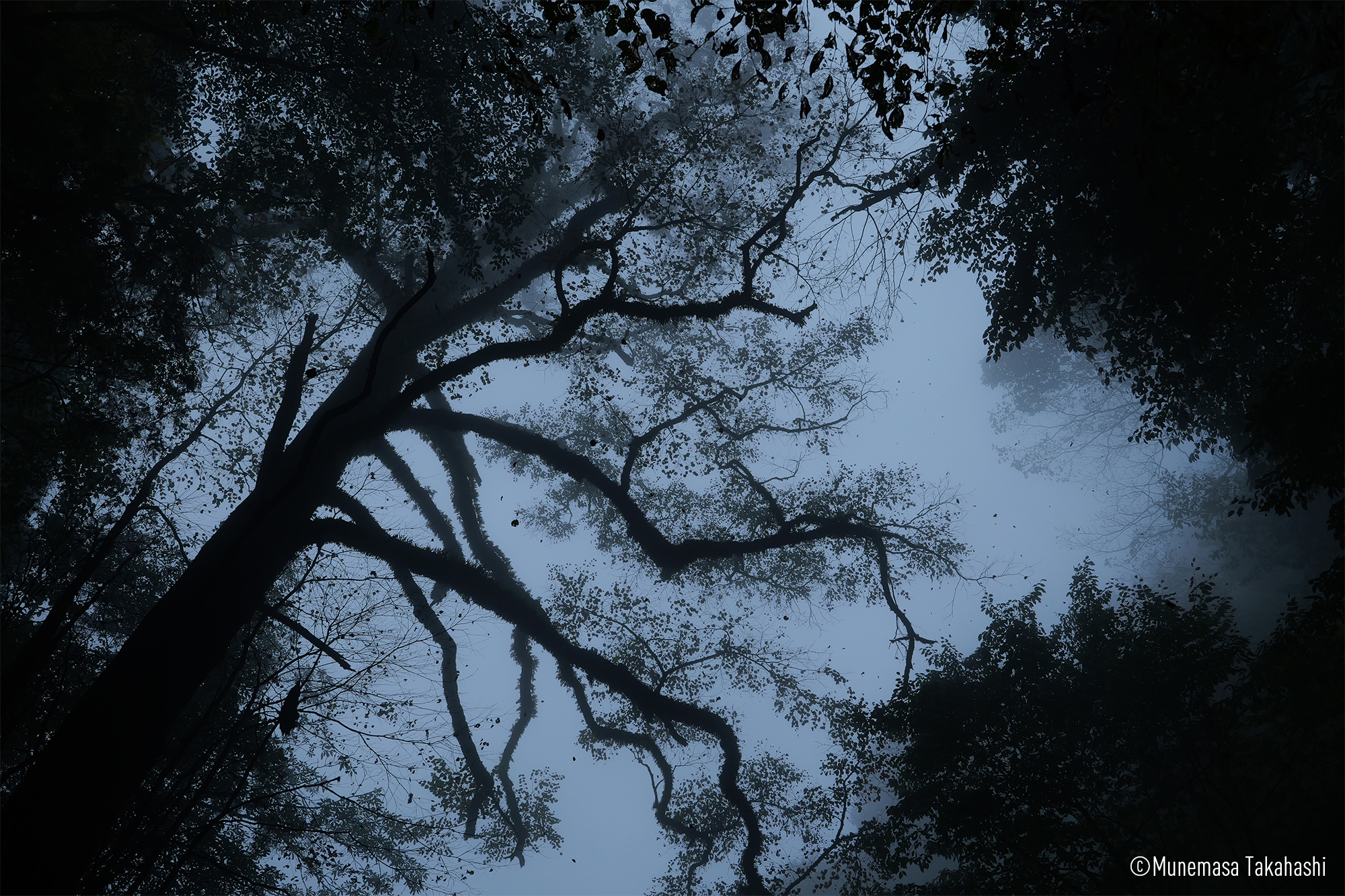 LUMIX S5M2 Gallery 1