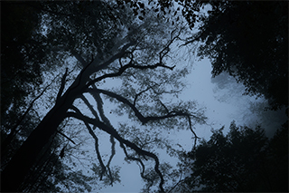 LUMIX S5M2 Gallery 1