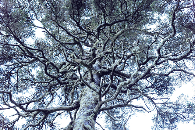 LUMIX S5M2 Gallery 2