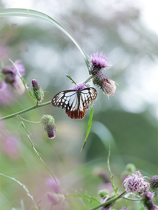 LUMIX S5M2 Gallery 5