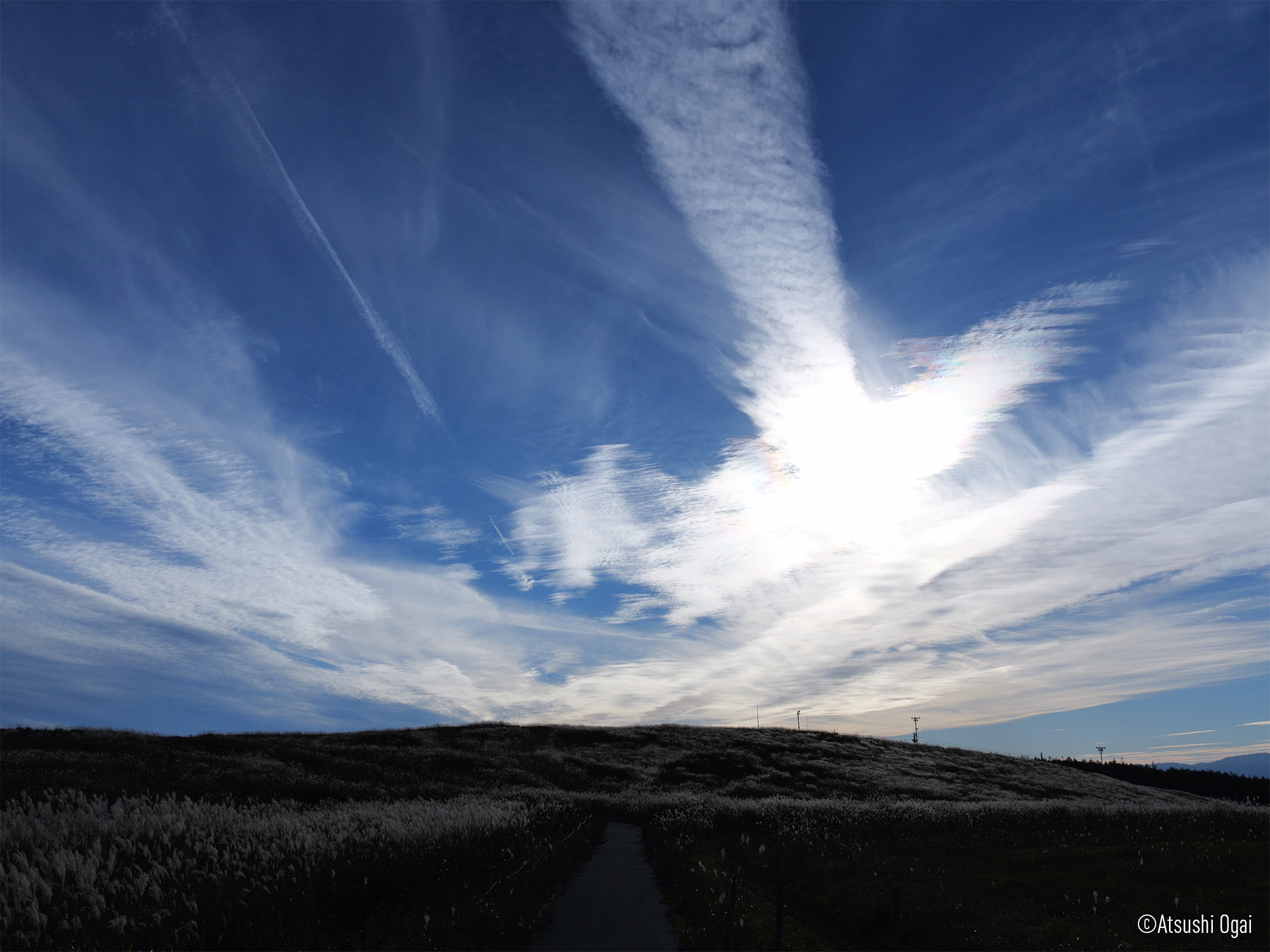 LEICA DG VARIO-ELMARIT 12-35mm / F2.8 ASPH. / POWER O.I.S. (H-ES12035) LUMIX G-serien af Micro Four Thirds-objektiv