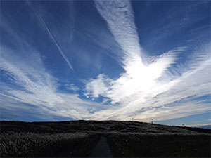 LEICA DG VARIO-ELMARIT 12-35mm / F2.8 ASPH. / POWER O.I.S. (H-ES12035) LUMIX G-serien af Micro Four Thirds-objektiv