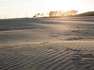 LEICA DG VARIO-ELMARIT 12-35mm / F2.8 ASPH. / POWER O.I.S. (H-ES12035) LUMIX G-serien af Micro Four Thirds-objektiv