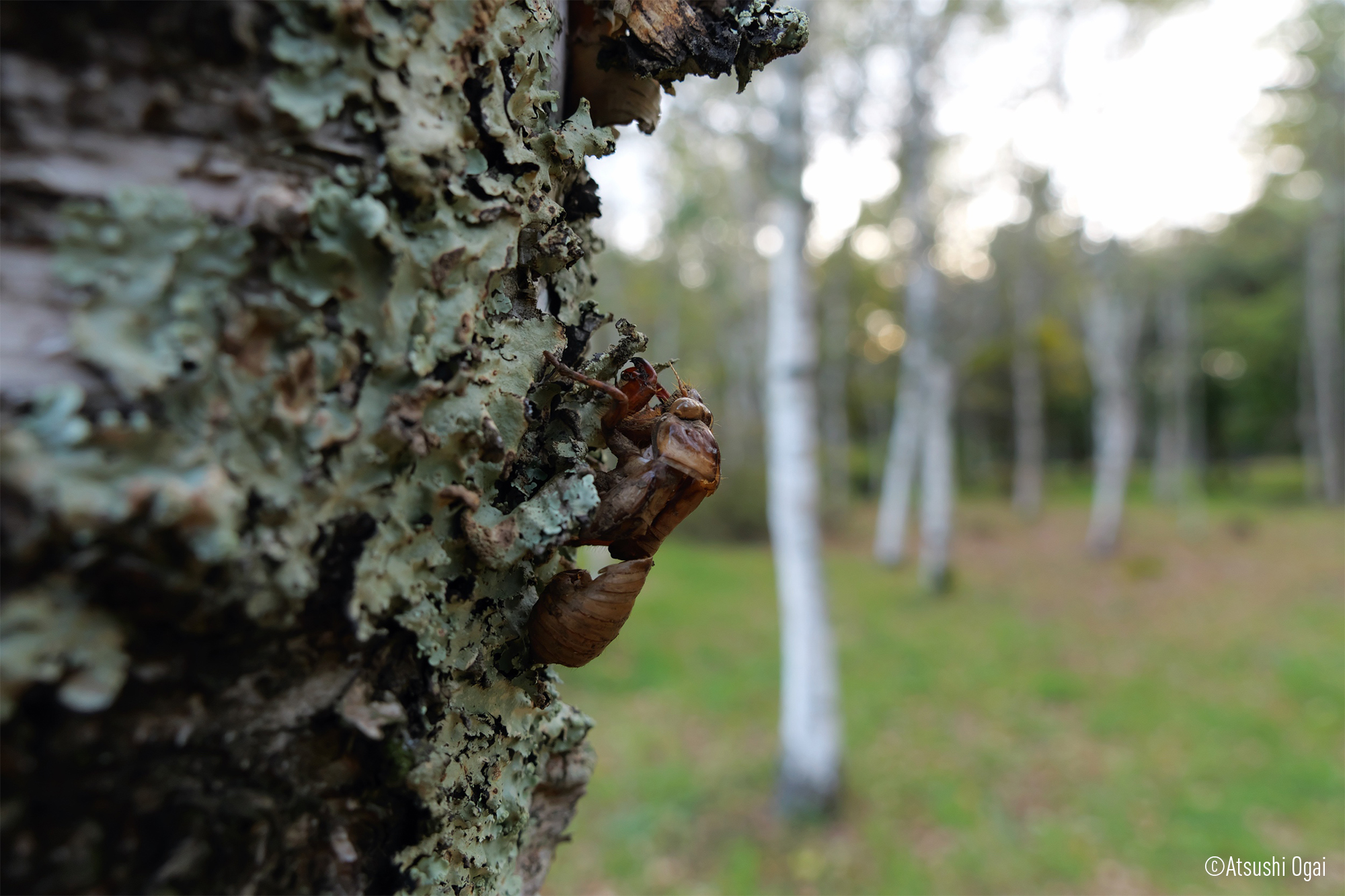 LEICA DG VARIO-ELMARIT 12-35mm / F2.8 ASPH. / POWER O.I.S. (H-ES12035) LUMIX G-serien af Micro Four Thirds-objektiv
