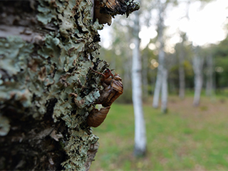 LEICA DG VARIO-ELMARIT 12-35mm / F2.8 ASPH. / POWER O.I.S. (H-ES12035) LUMIX G-serien af Micro Four Thirds-objektiv