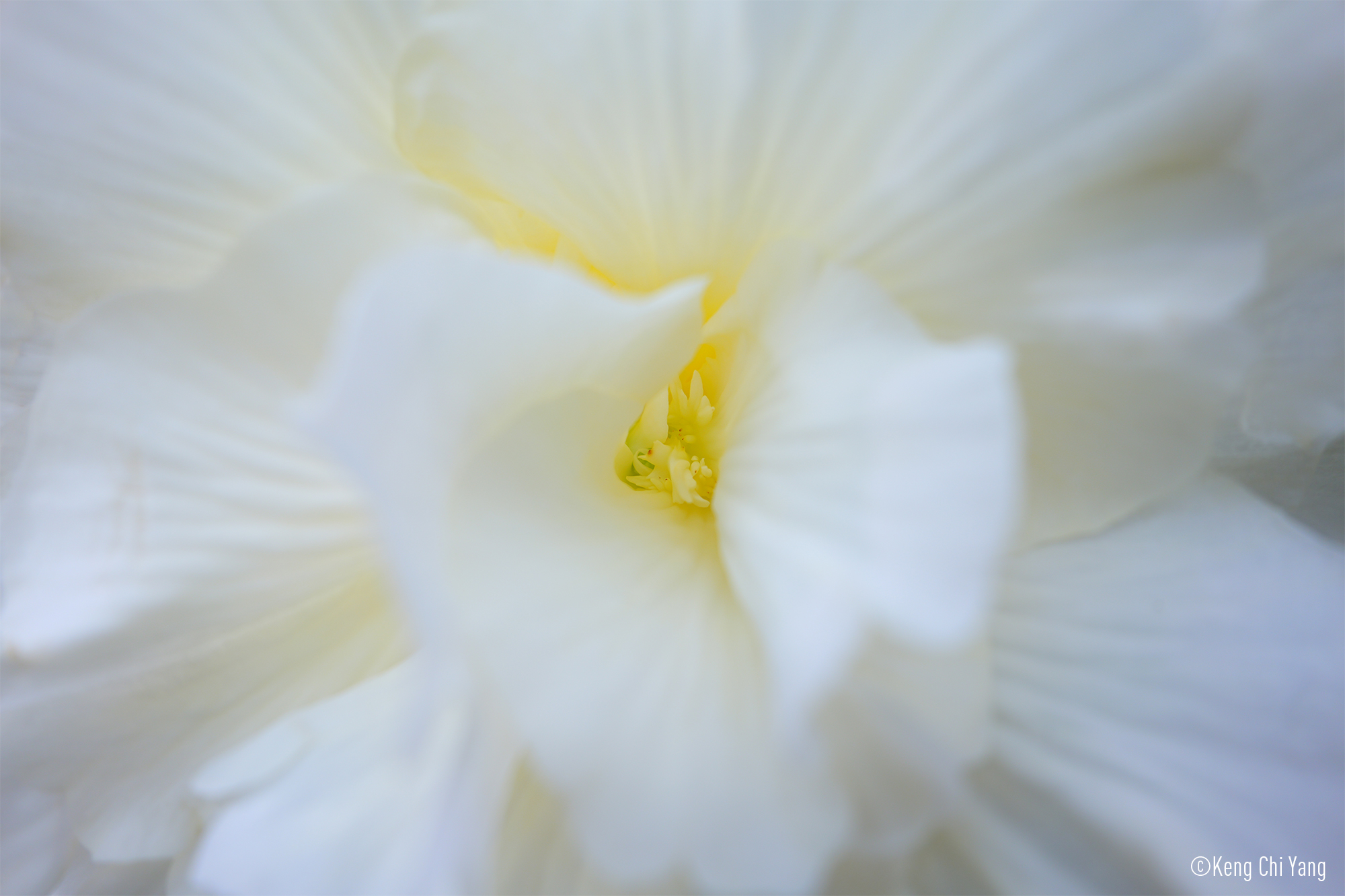 LUMIX S 18-40mm F4.5-6.3 Prøvebilleder 12