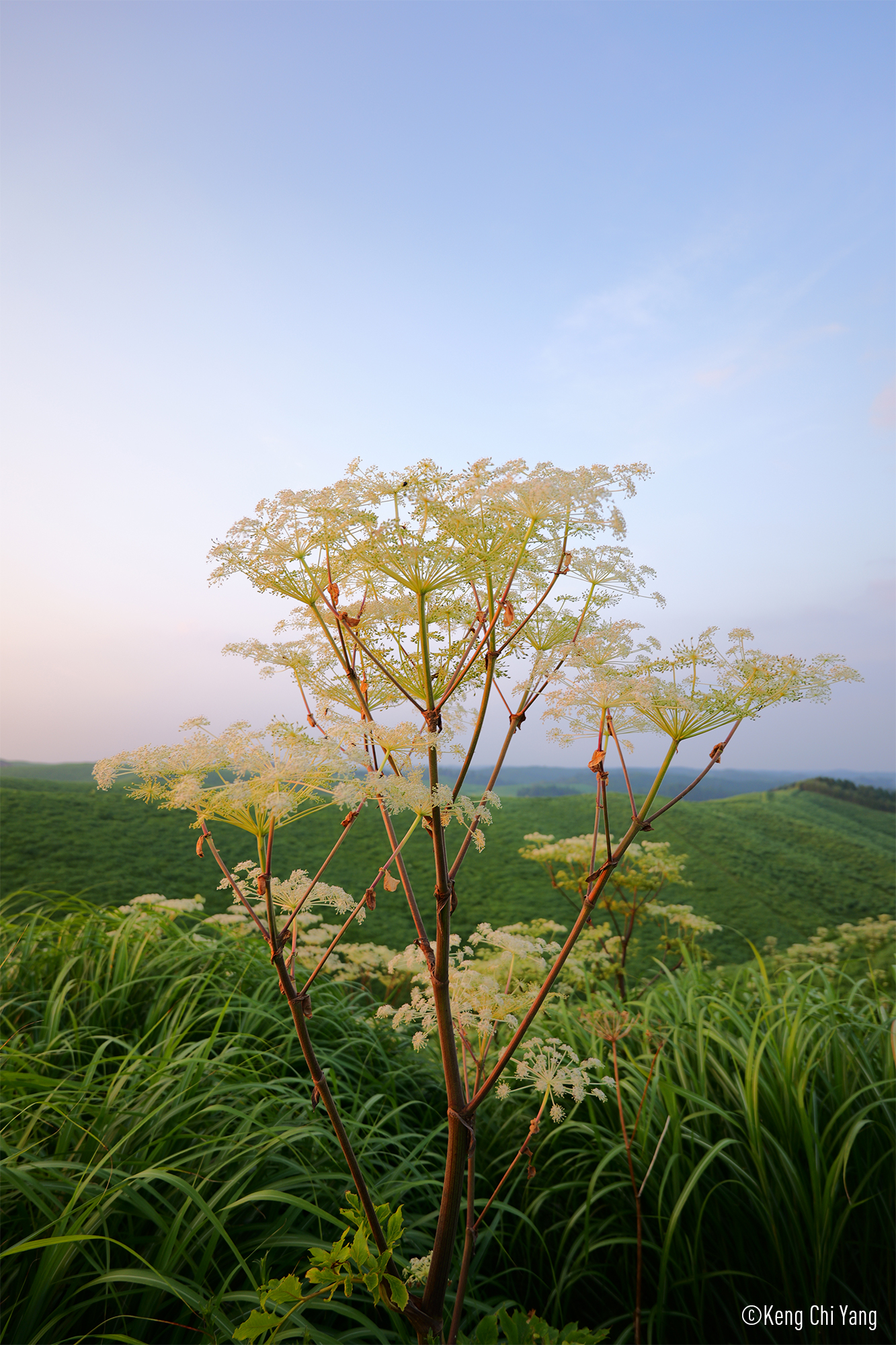 LUMIX S 18-40mm F4.5-6.3 Prøvebilleder 2