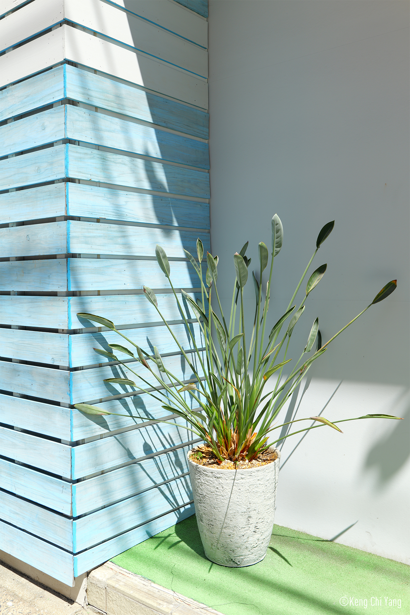 LUMIX S 18-40mm F4.5-6.3 Prøvebilleder 8