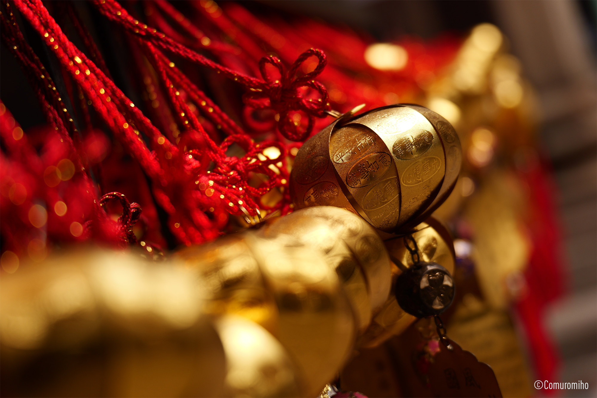 LUMIX S 28-200mm F4-7.1 MACRO O.I.S. Sample Images 9