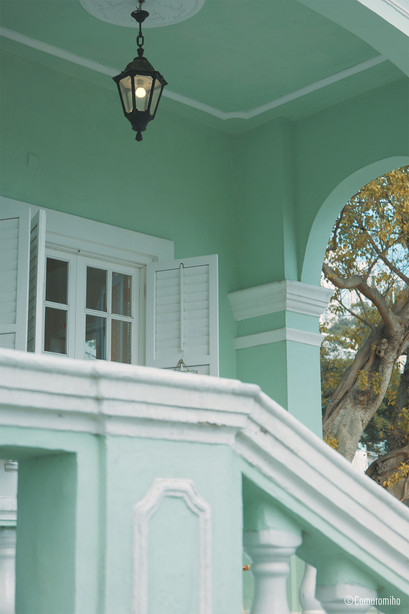 LUMIX S 28-200mm F4-7.1 MACRO O.I.S. Sample Images 1