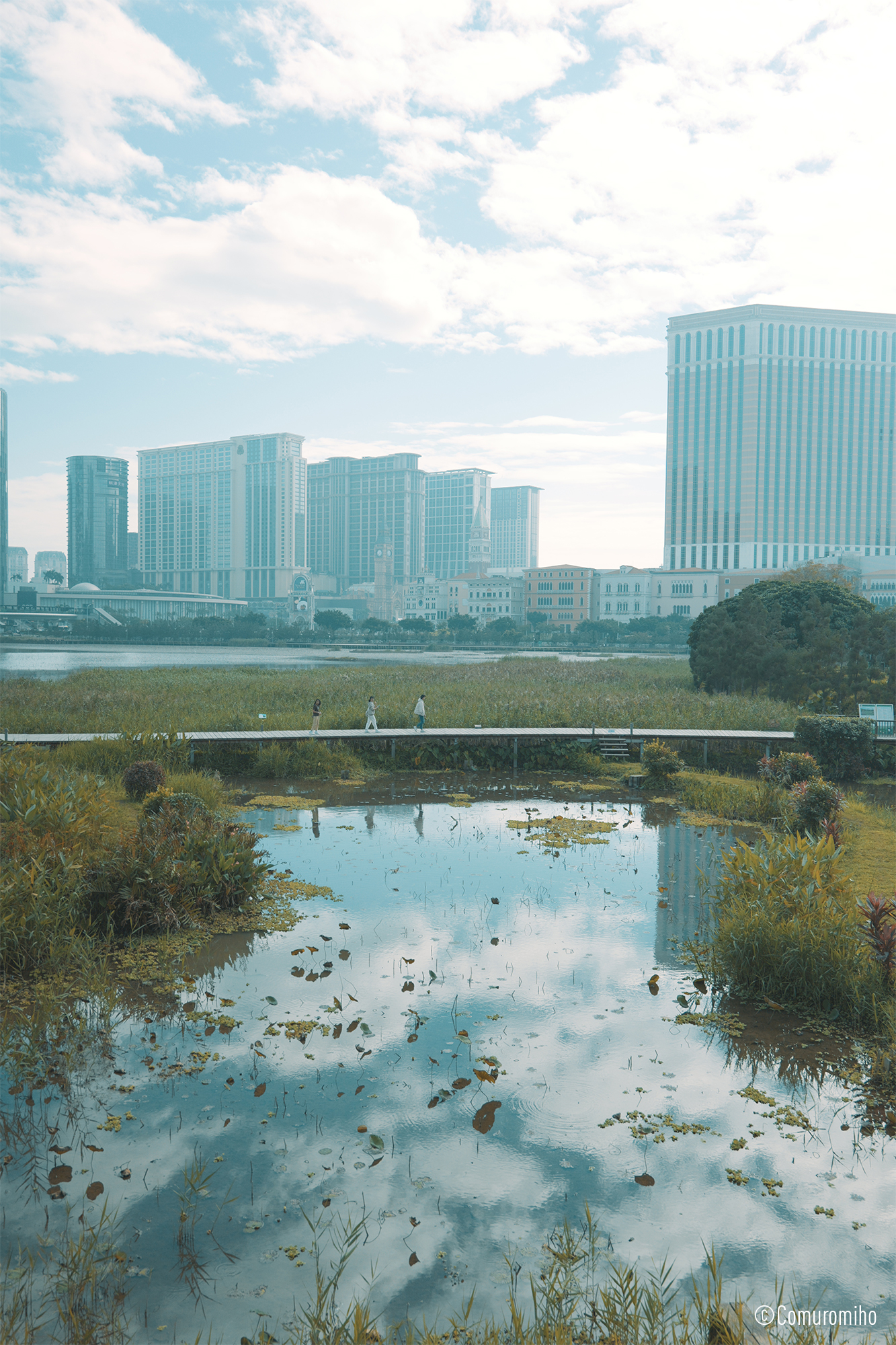 LUMIX S 28-200mm F4-7.1 MACRO O.I.S. Sample Images 2