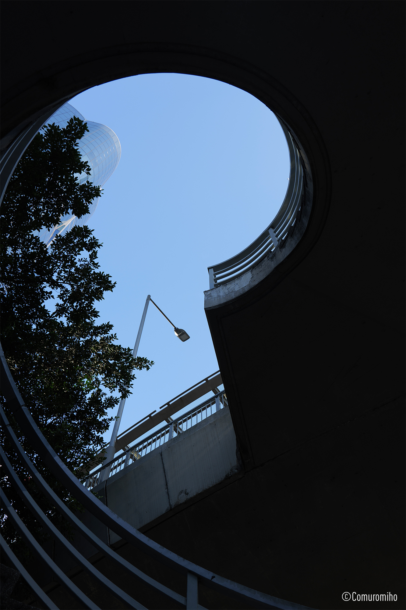 LUMIX S 28-200mm F4-7.1 MACRO O.I.S. Sample Images 5