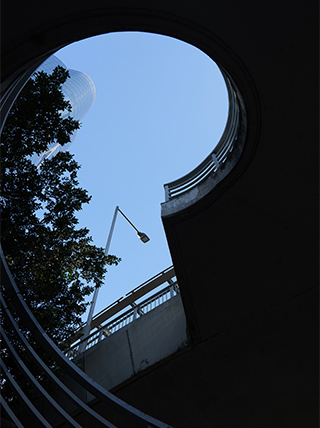 LUMIX S 28-200mm F4-7.1 MACRO O.I.S. Sample Images 5