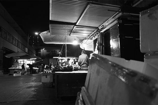 LUMIX S 28-200mm F4-7.1 MACRO O.I.S. Sample Images 7