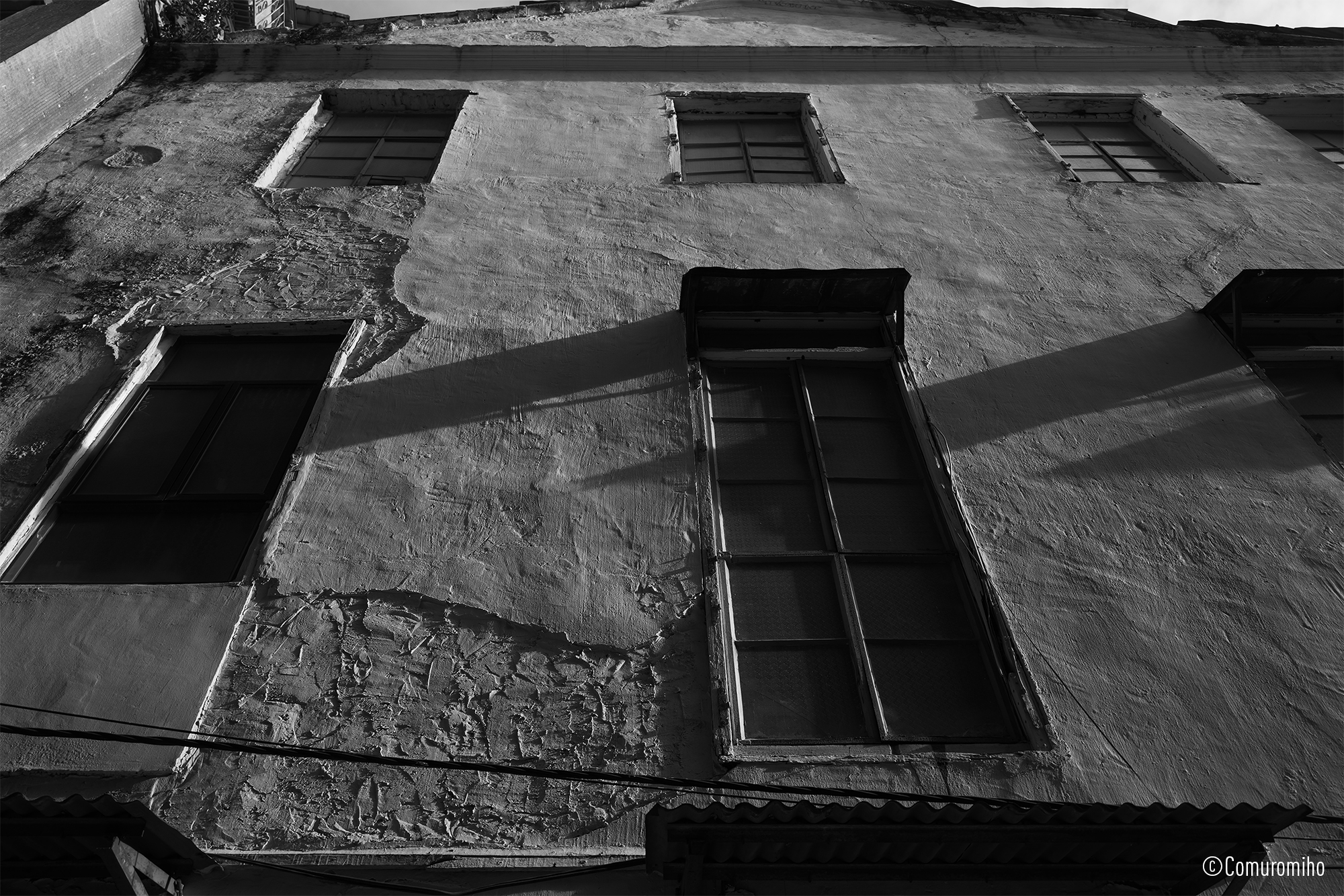 LUMIX S 28-200mm F4-7.1 MACRO O.I.S. Sample Images 8