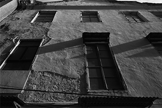 LUMIX S 28-200mm F4-7.1 MACRO O.I.S. Sample Images 8