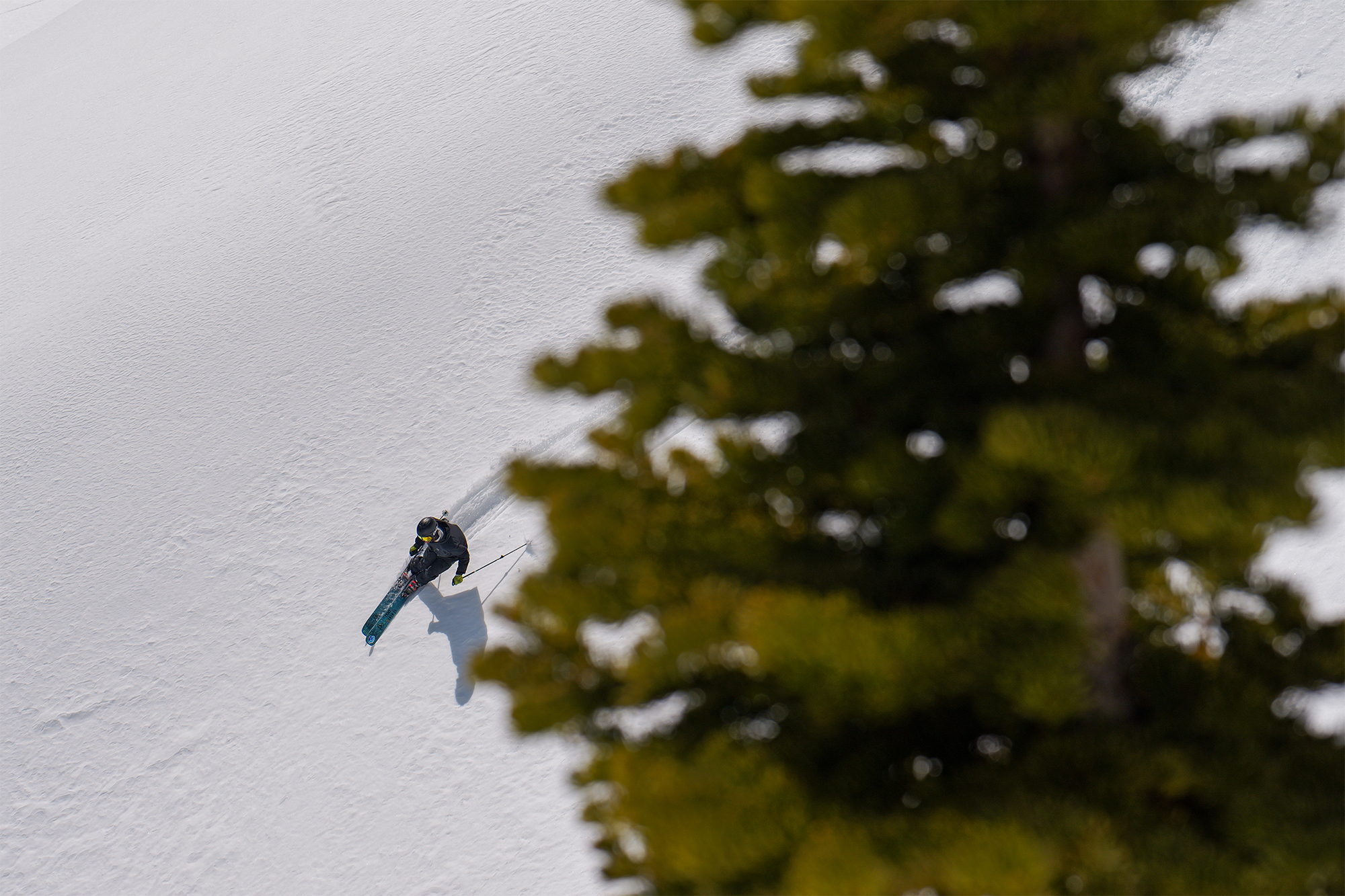 LUMIX S1II – galéria 13