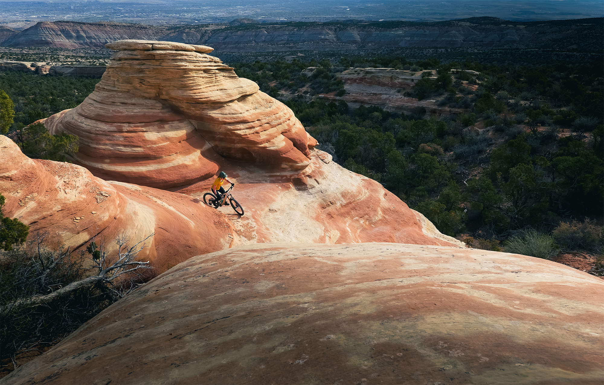 LUMIX S1II – galéria 14