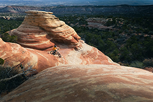 LUMIX S1II – galéria 14