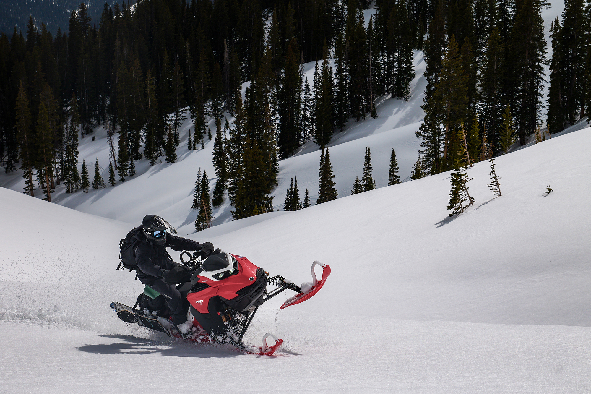 LUMIX S1II – galéria 15