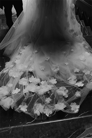 LUMIX S1IIE Gallery 12