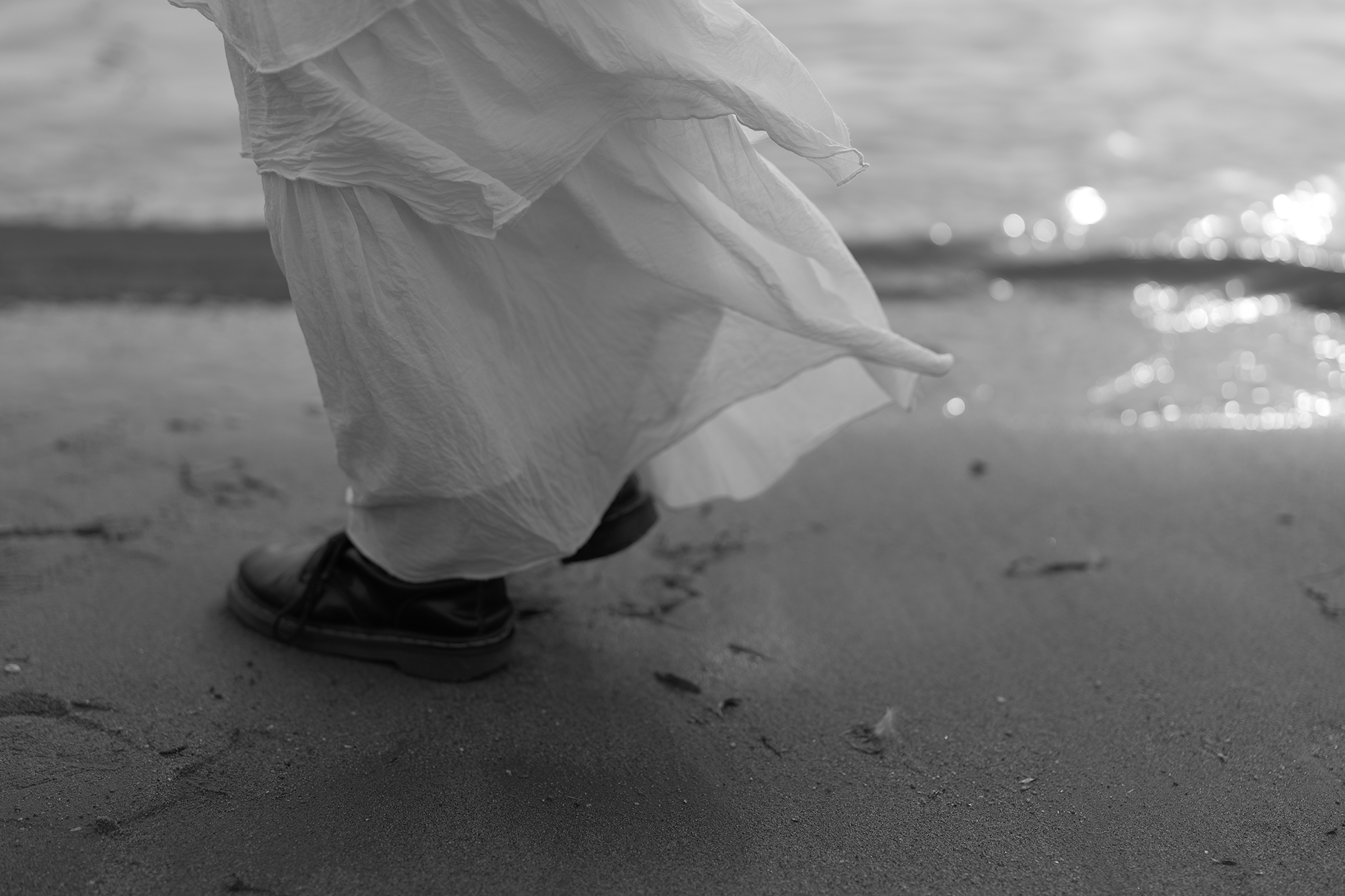 LUMIX S1IIE Gallery 6