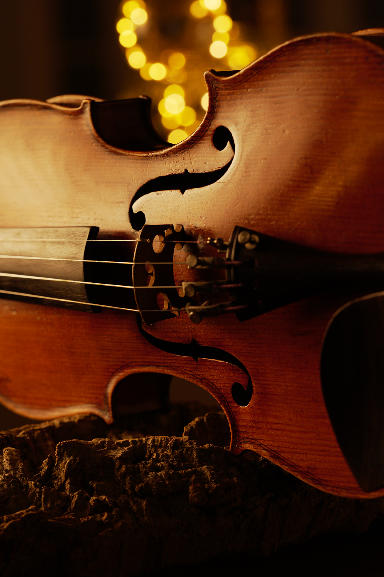 LUMIX S1RII Gallery 7