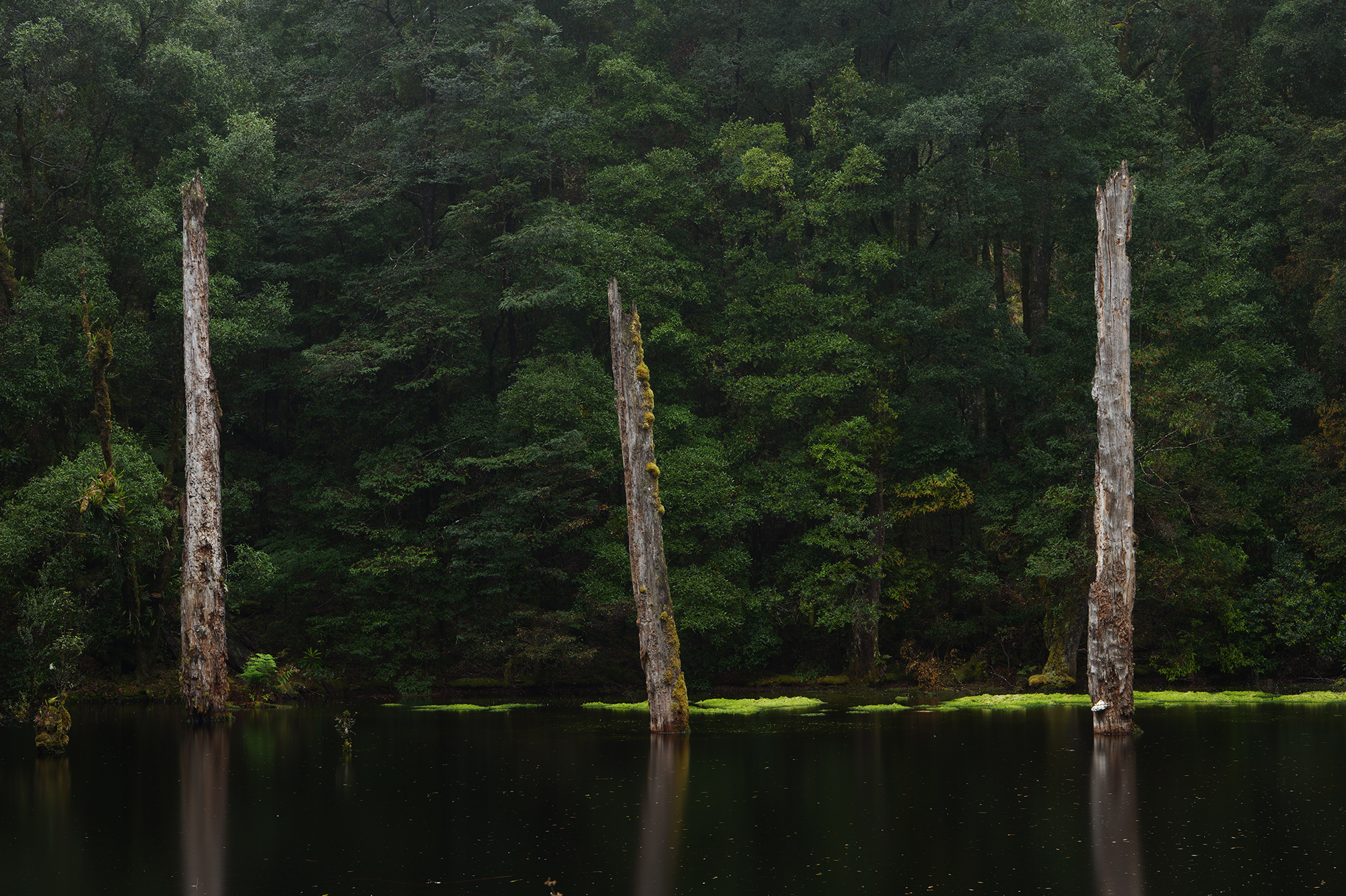 LUMIX S1RII Gallery 12