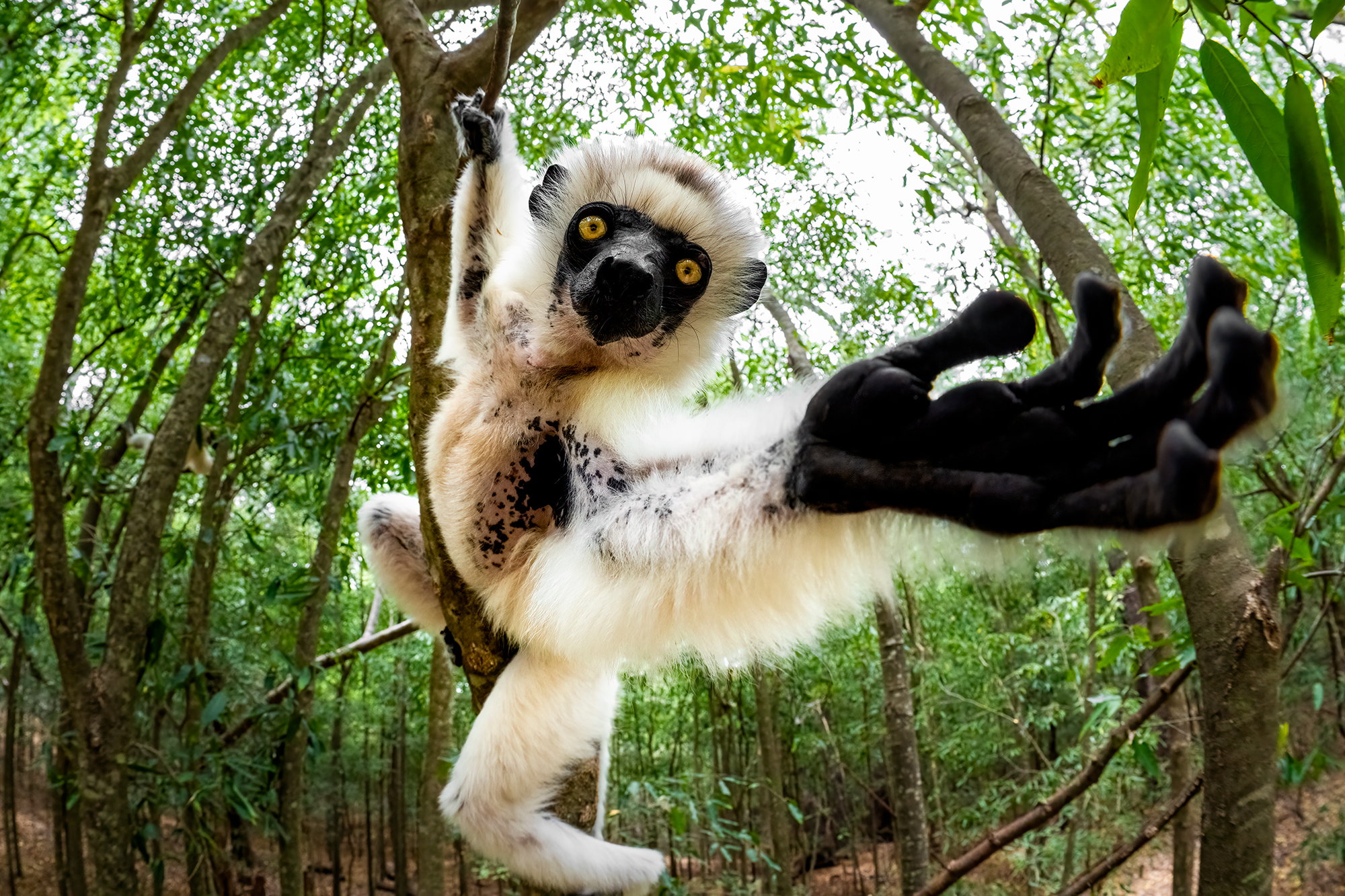 LUMIX S1RII Gallery 21