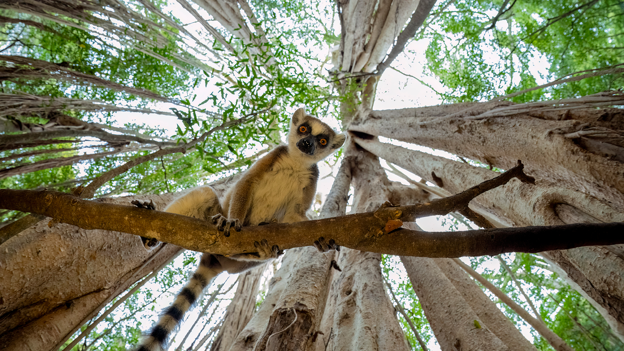 LUMIX S1RII Gallery 24