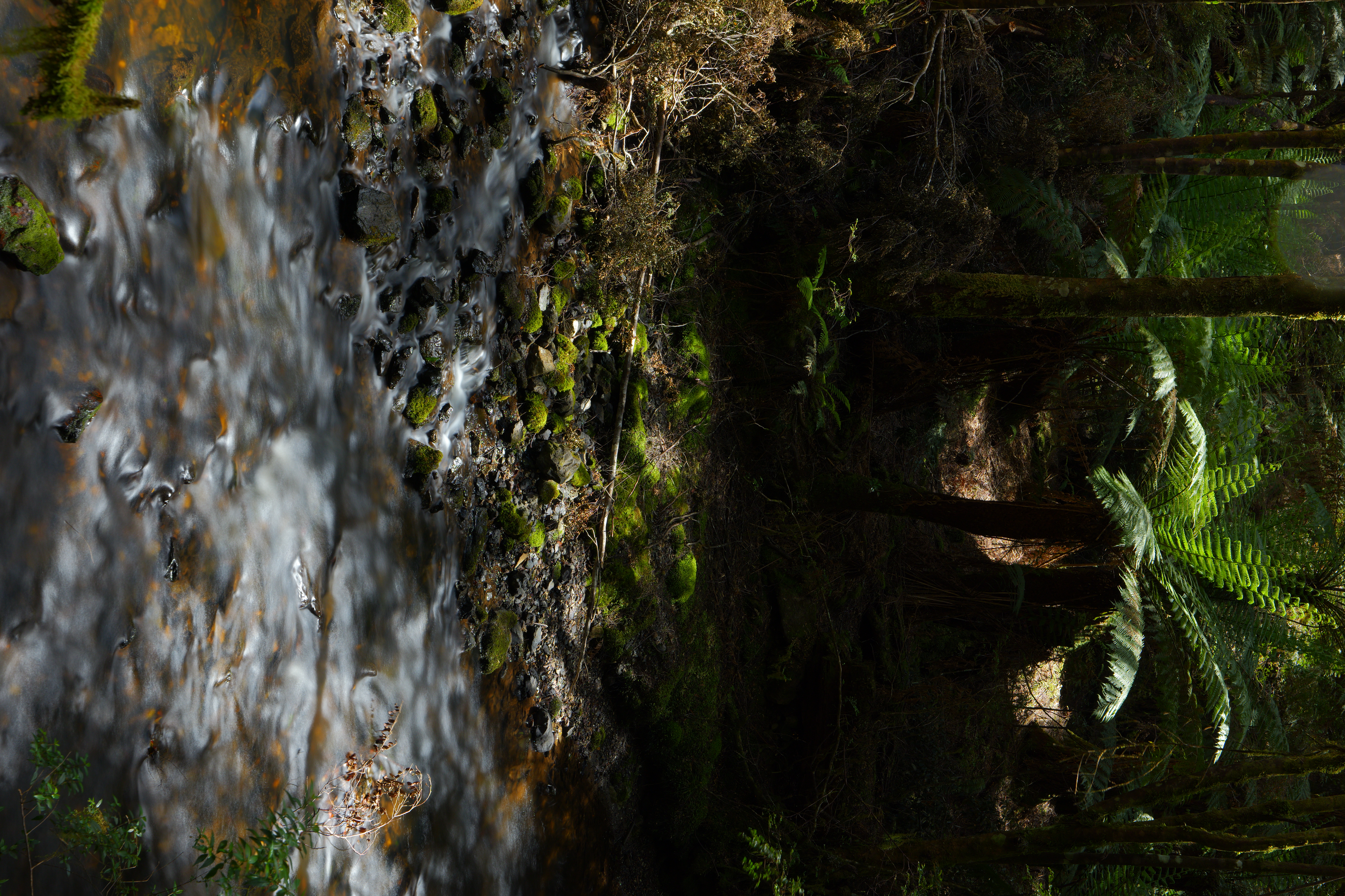 LUMIX S1RII Gallery 3