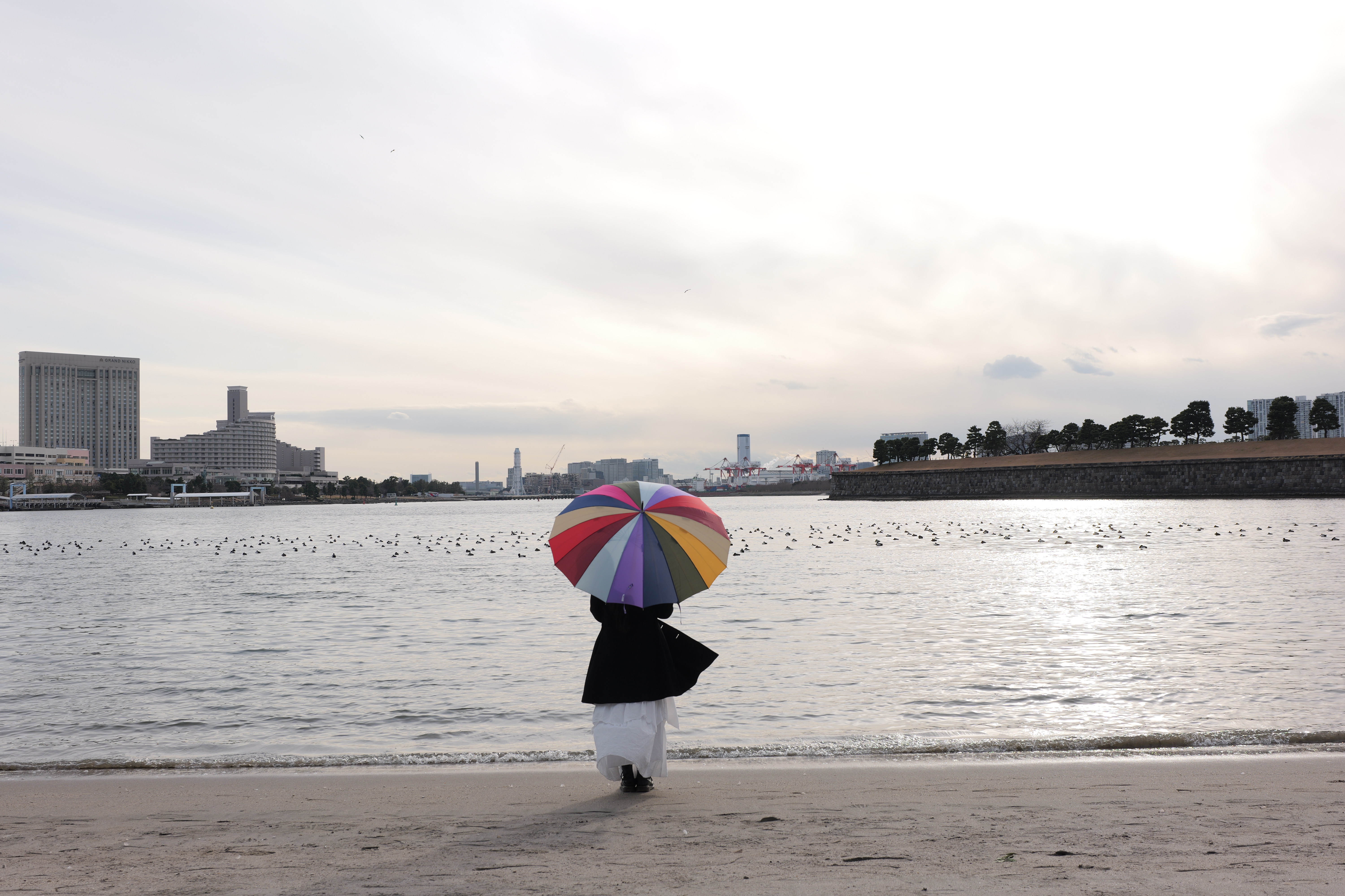 LUMIX S1IIE Галерея 1