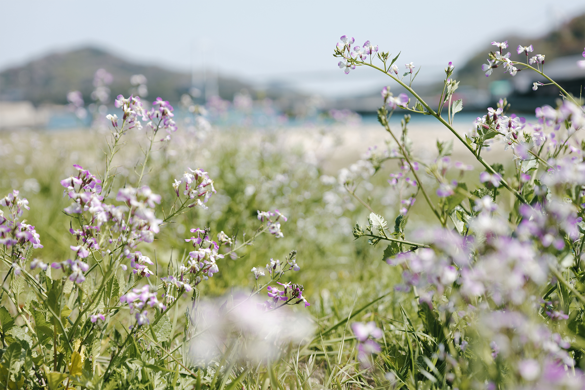 LUMIX S 24-60mm F2.8 Sample Images 1