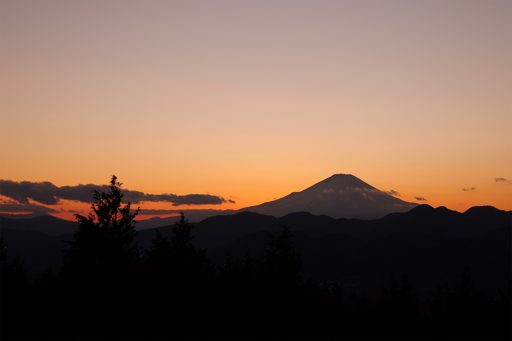 LUMIX S 24-60mm F2.8 Sample Images 6