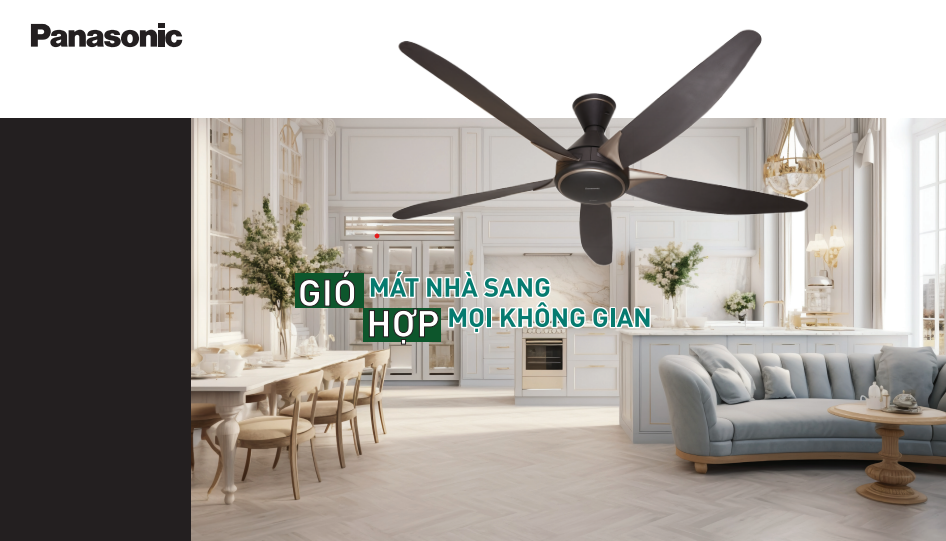 Bộ sưu tập Quạt (VI)